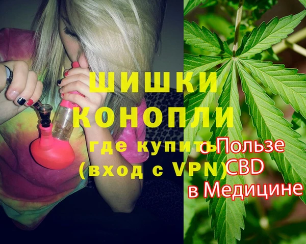 твердый Новозыбков