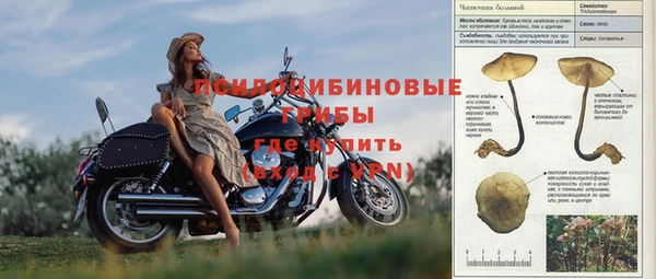 прущая мука Нязепетровск