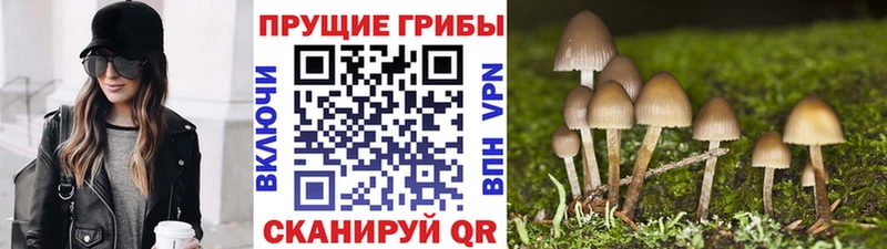 Псилоцибиновые грибы ЛСД  Купить  Чапаевск